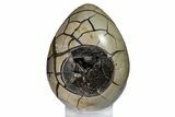 Septarian Dragon Egg Geode - Black Crystals #160227-1